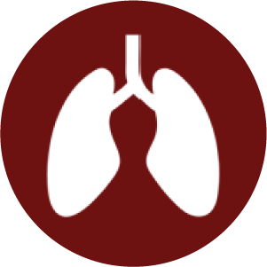 1744781924_Icon 14.png
